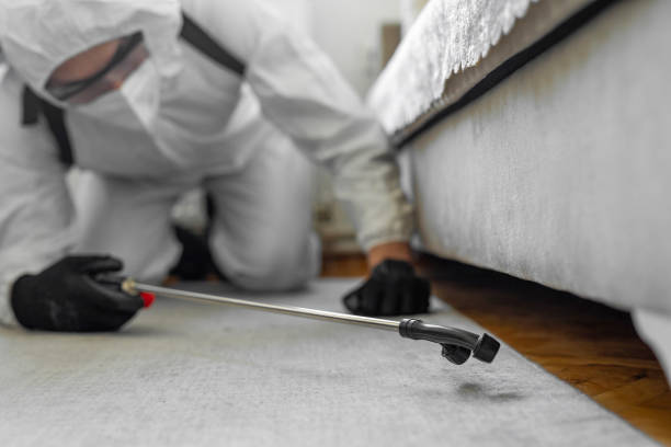 Professional Cockroach Control technician working in Adams County County, WI